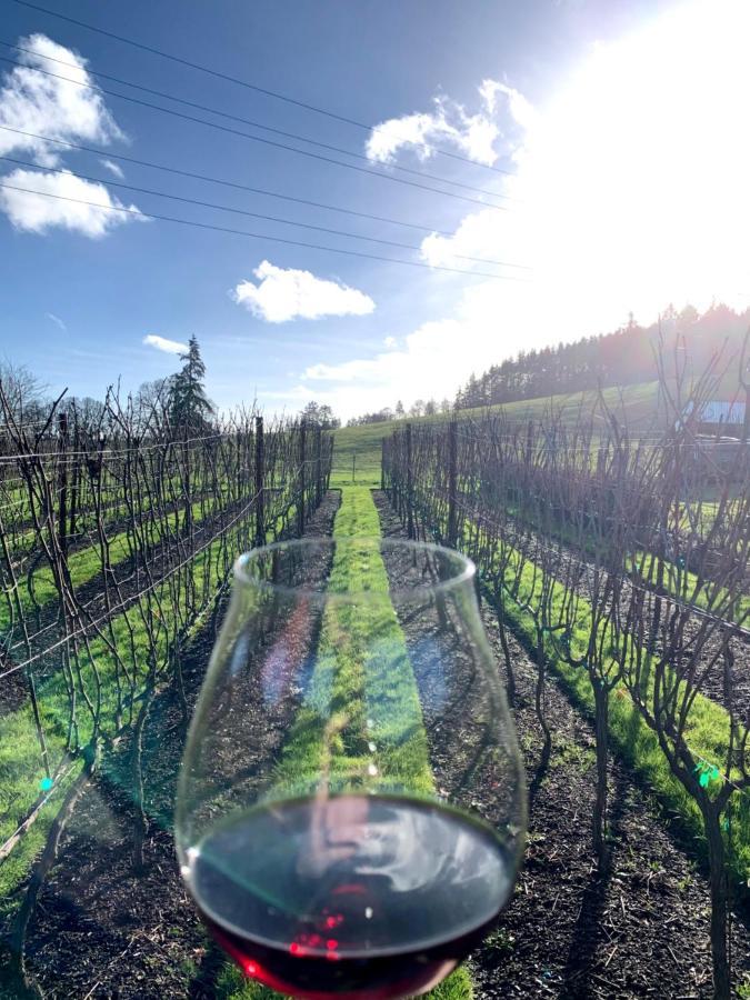 The Setting Inn Willamette Valley Newberg Zewnętrze zdjęcie